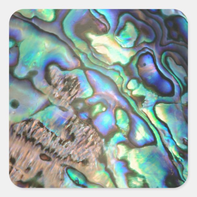 Blue green paua abalone shell detail square sticker (Front)
