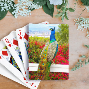 Blue Green Peacock Photo Beautiful Stylish Chic  Playing Cards