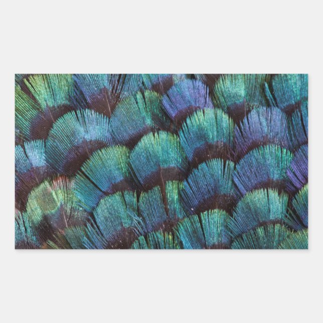 Blue-green pheasant feather design rectangular sticker (Front)