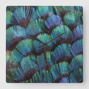 Blue-green pheasant feather design square wall clock