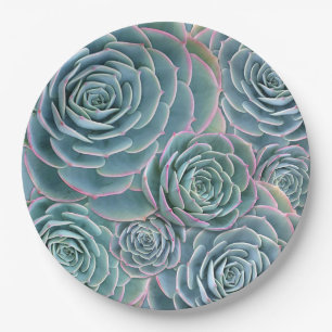 Blue Green Succulents Big Flowers Paper Plate