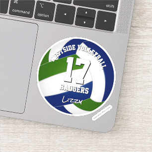 blue green team colours volleyball player