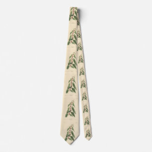 Blue-green Warbler from Audubon's Birds of America Tie