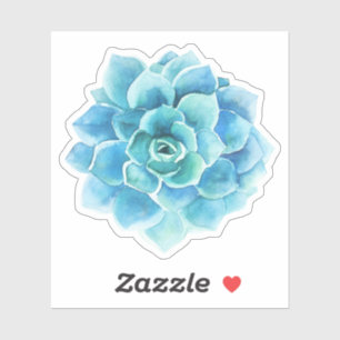 Blue-green watercolors cactus illustration