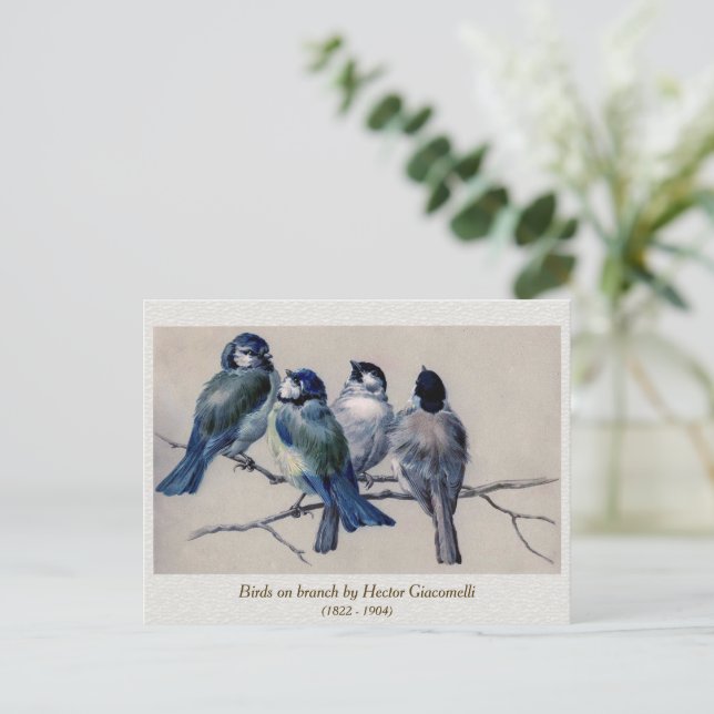 Blue Grey Birds on a Branch by Hector Giacomelli Postcard (Standing Front)