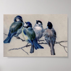 Blue Grey Birds on a Branch by Hector Giacomelli Poster