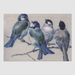 Blue Grey Birds on a Branch by Hector Giacomelli T Tissue Paper