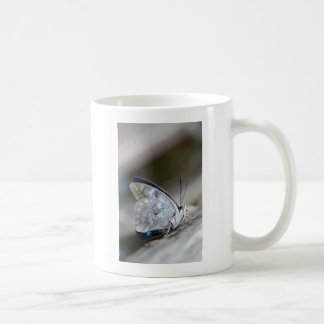 Blue Grey Butterfly Coffee Mug