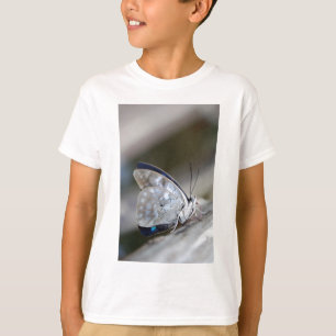 Blue Grey Butterfly T-Shirt