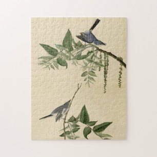 Blue-Grey Fly-catcher - Audubon's Birds of America Jigsaw Puzzle