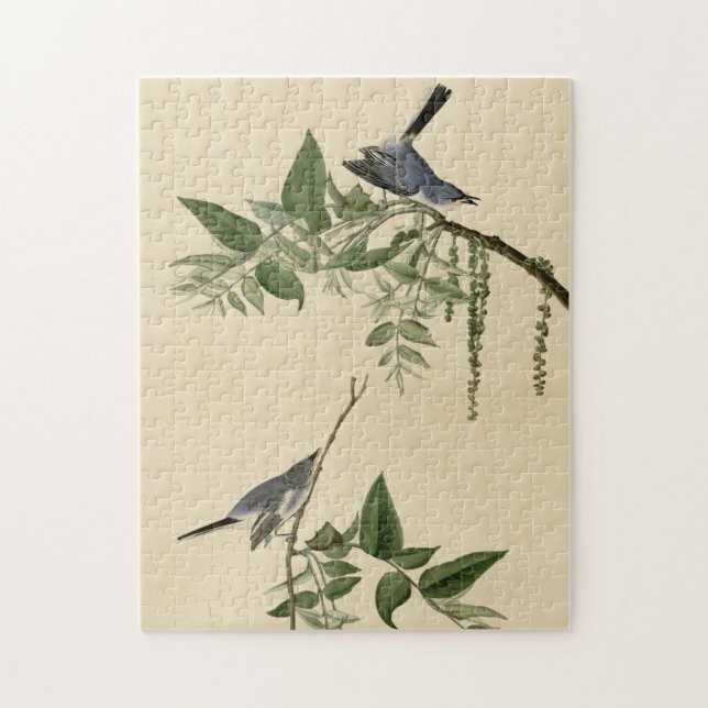 Blue-Grey Fly-catcher - Audubon's Birds of America Jigsaw Puzzle (Vertical)
