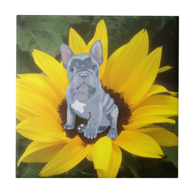Blue Grey French Bulldog Puppy and Sunflower   Ceramic Tile (Front)