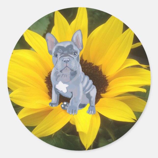 Blue Grey French Bulldog Puppy and Sunflower   Classic Round Sticker (Front)