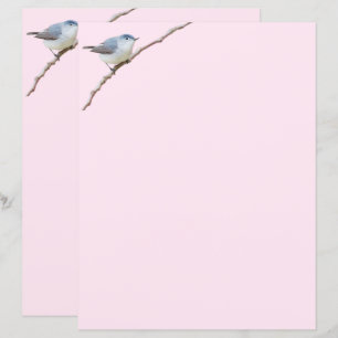 Blue-Grey Gnatcatcher Bird on Pink Stationery