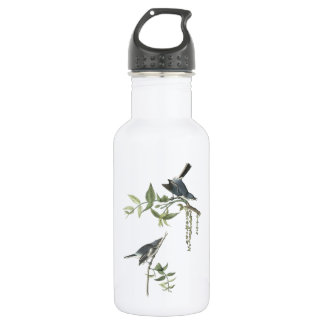 Blue-grey Gnatcatcher by Audubon 532 Ml Water Bottle