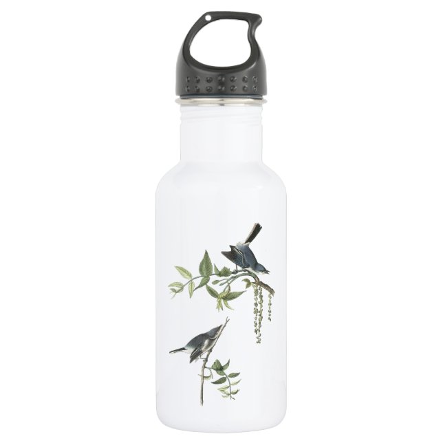Blue-grey Gnatcatcher by Audubon 532 Ml Water Bottle (Front)