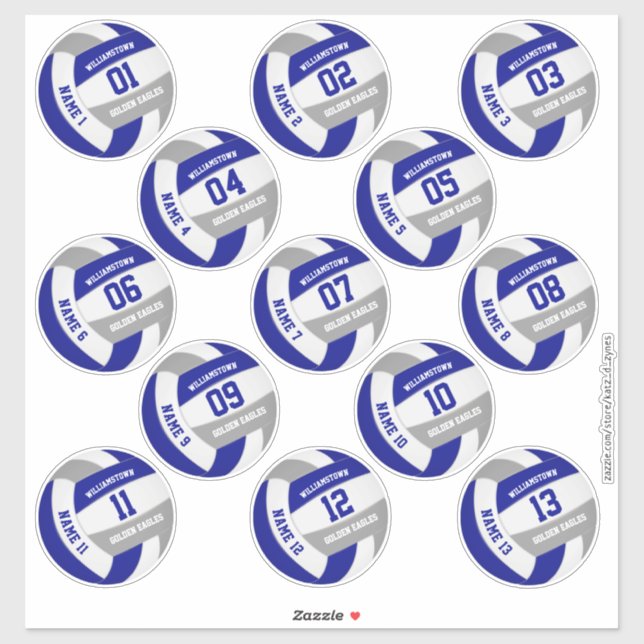 blue grey school colours volleyball players names (Sheet)