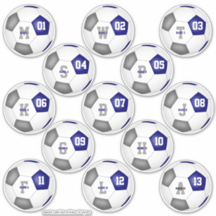 blue grey team colours set of 13 soccer