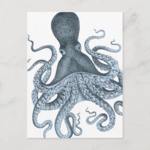 Blue Grey Vintage Octopus Illustration Postcard