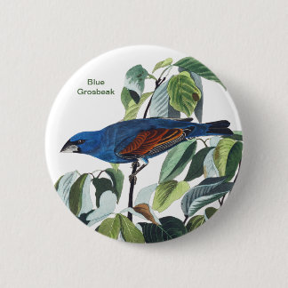 Blue Grosbeak, John James Audubon, Blue Bird 6 Cm Round Badge