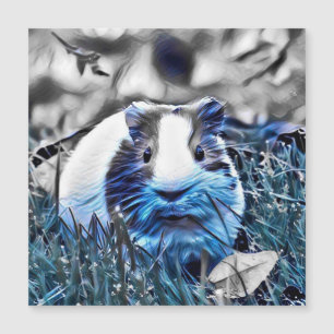 blue- guinea pig