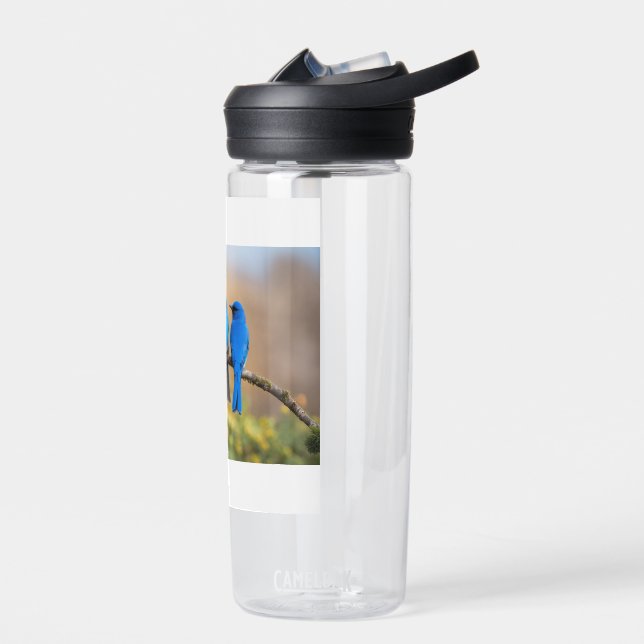 Blue Harmony – A Moment of Joy Water Bottle (Left)