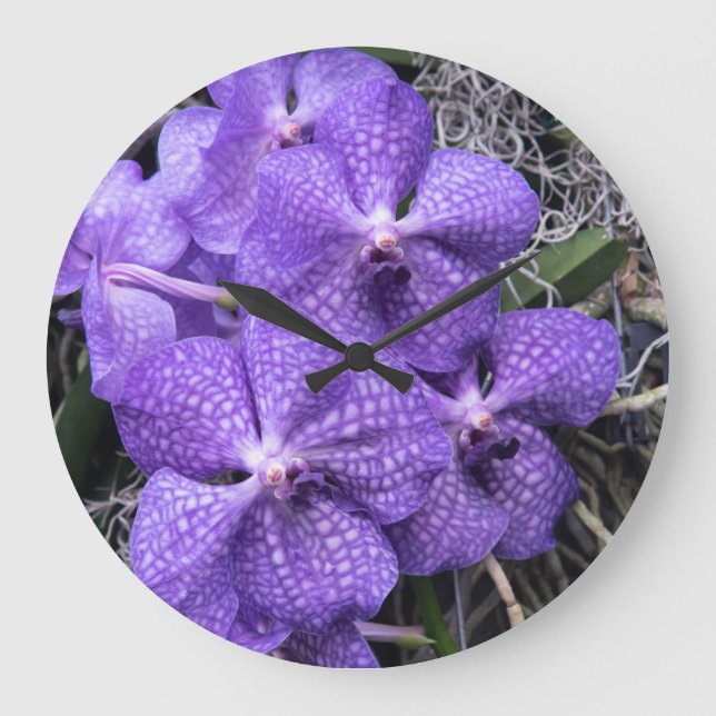 Blue Hawaiian Orchids Large Clock (Front)