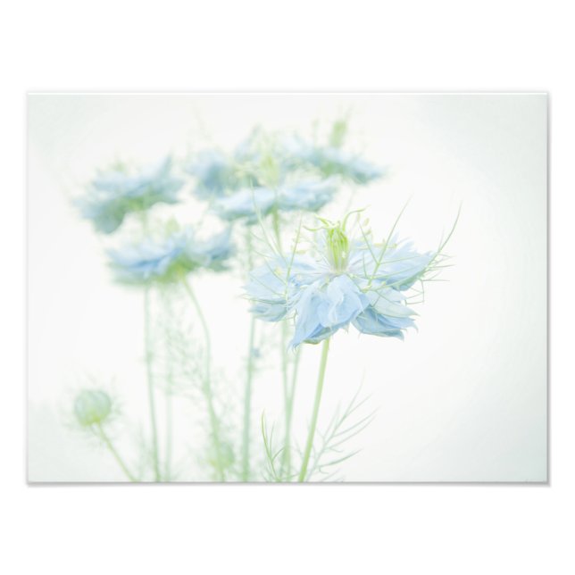 Blue Haze Large Photo Print (Front)