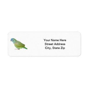 Blue Head Pionus Parrot Return Address Label