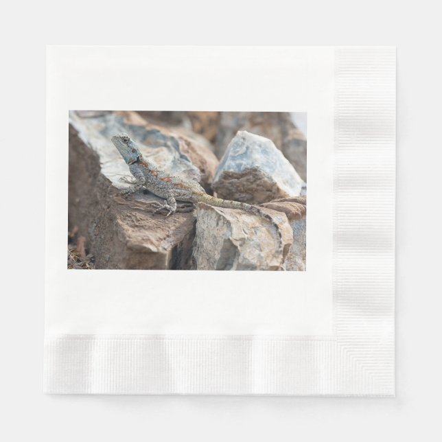 Blue headed Agama Napkin (Front)
