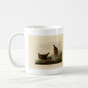 Blue-headed Pigeon from Audubon's Birds of America Coffee Mug