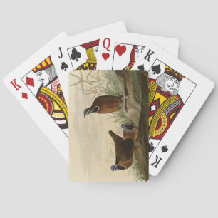 Blue-headed Pigeon from Audubon's Birds of America Playing Cards