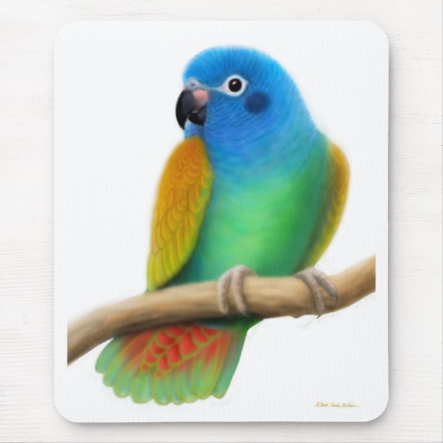 Blue Headed Pionus Parrot Mousepad (Front)