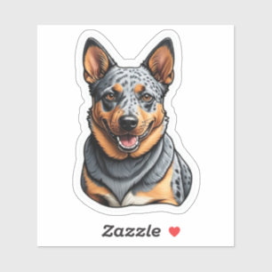 Blue Heeler