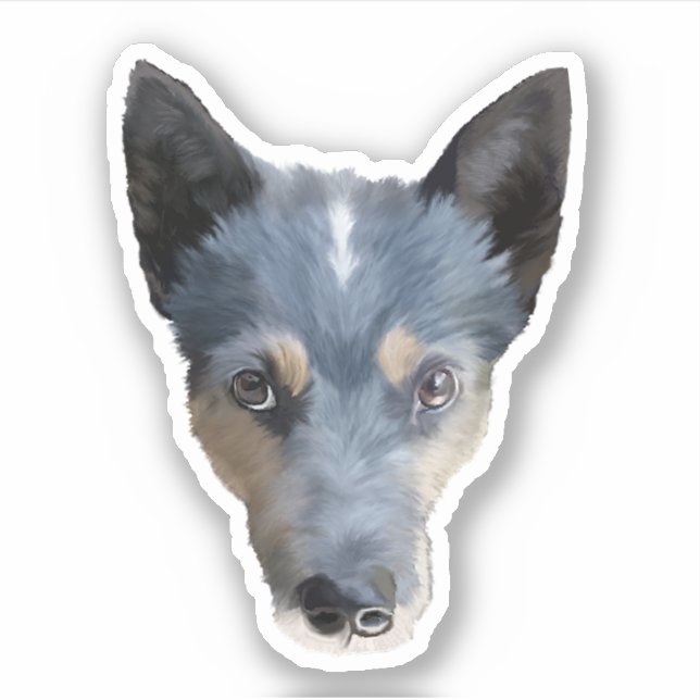 Blue Heeler / Australian Cattle Dog (Front)