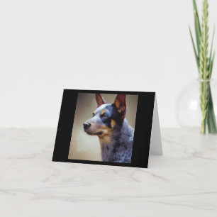 Blue Heeler Dog Card