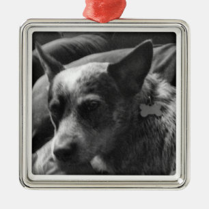 Blue Heeler Metal Ornament