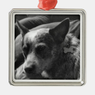 Blue Heeler Metal Ornament