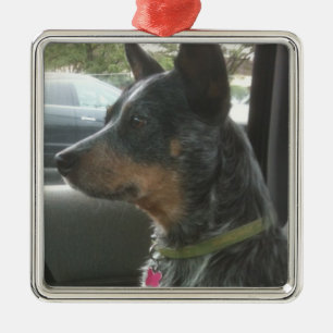 Blue heeler metal tree decoration