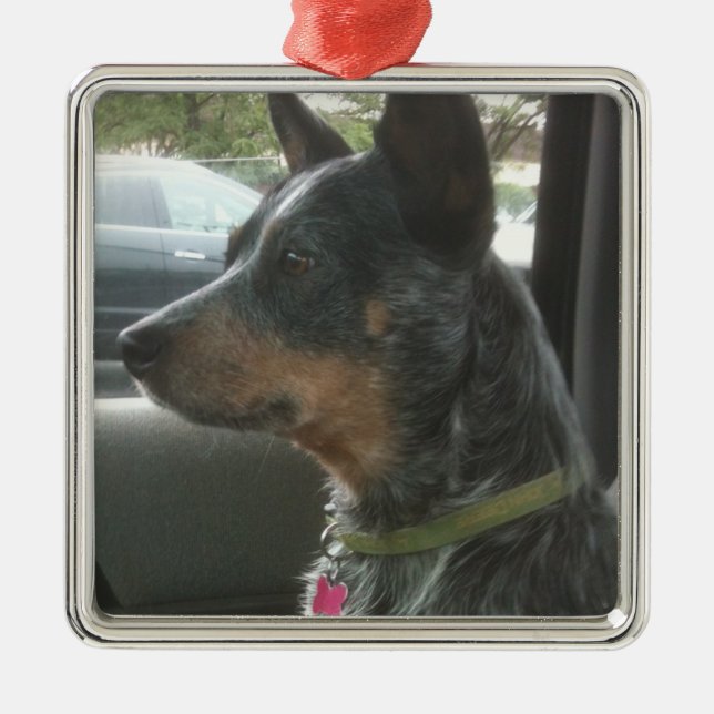 Blue heeler metal tree decoration (Front)