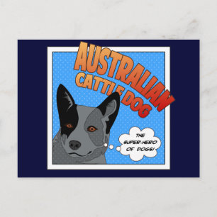 Blue Heeler Postcard