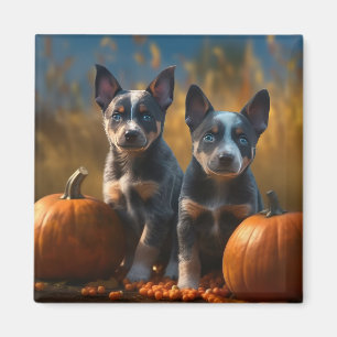 Blue Heeler Puppy Autumn Delight Pumpkin Magnet