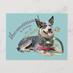 Blue Heeler Unconditional Love Postcard