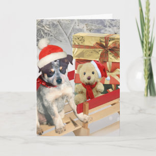 Blue Heeler winter Scene cards