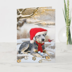 Blue Heeler winter Scene cards