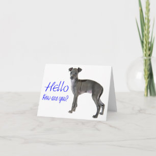 Blue Hello Grey Italian Greyhound Puppy Dog Card