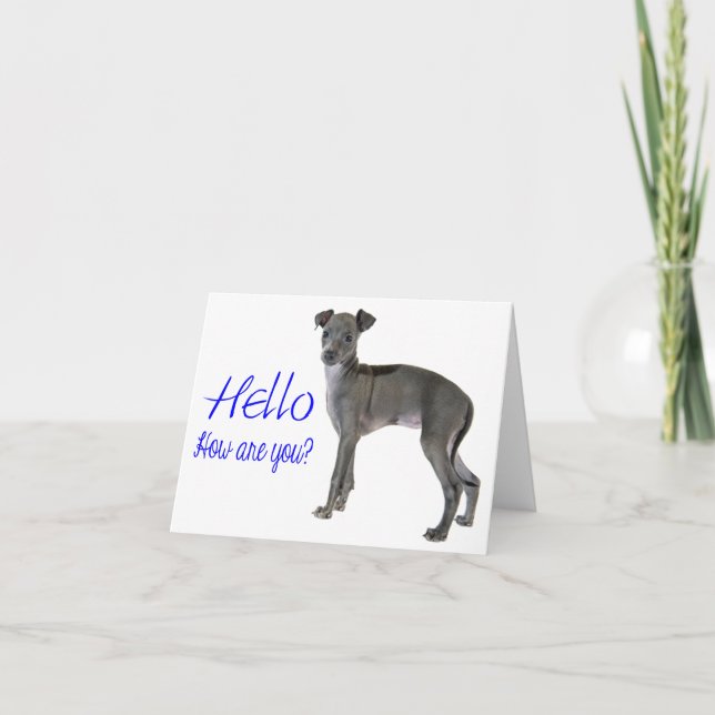 Blue Hello Grey Italian Greyhound Puppy Dog Card (Front)