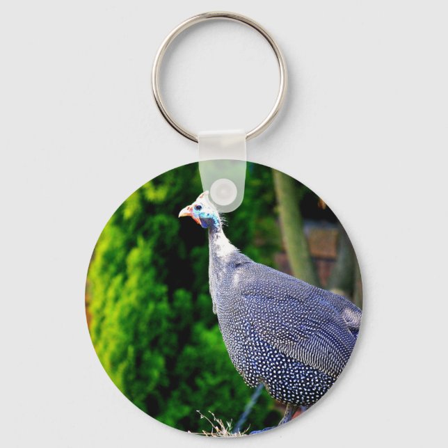 Blue Helmeted Guinea Fowl standing in the sun Key Ring (Front)