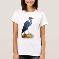 Blue Heron 3 2