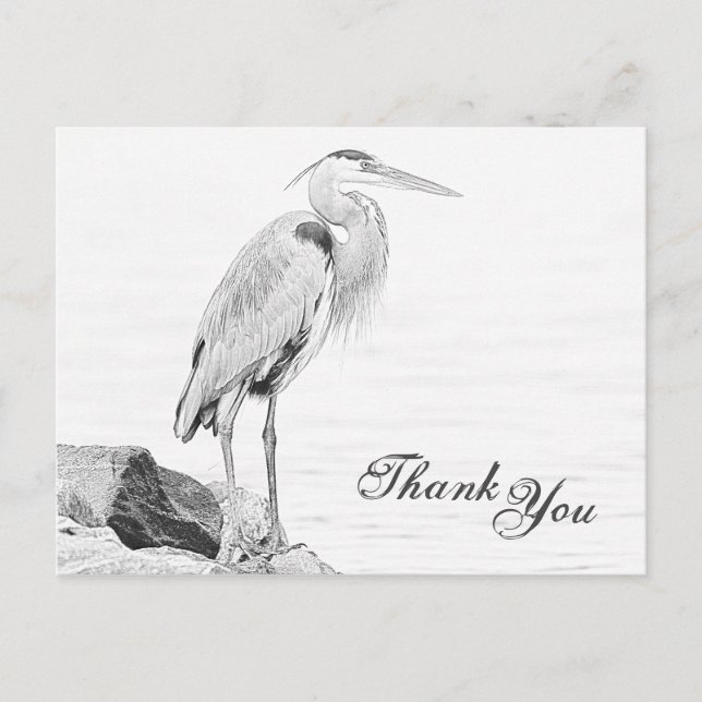 Blue Heron and Rocks, Water Bird Sketch Thank You Postcard (Front)